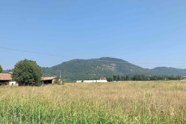 monte orfano